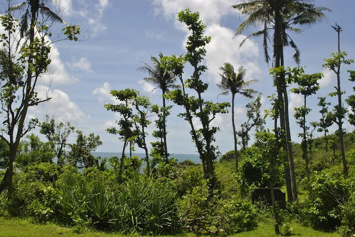 Pantai TEBING Ngungap 8