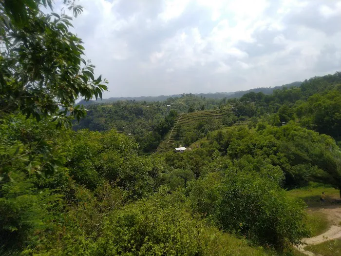 Bukit Pengilon 0