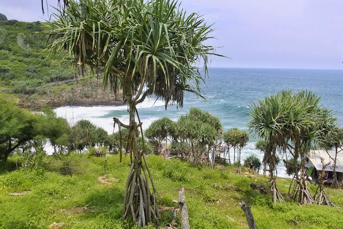 Pantai Pasiran, Purwodadi, Tepus, Gunung Kidul 2