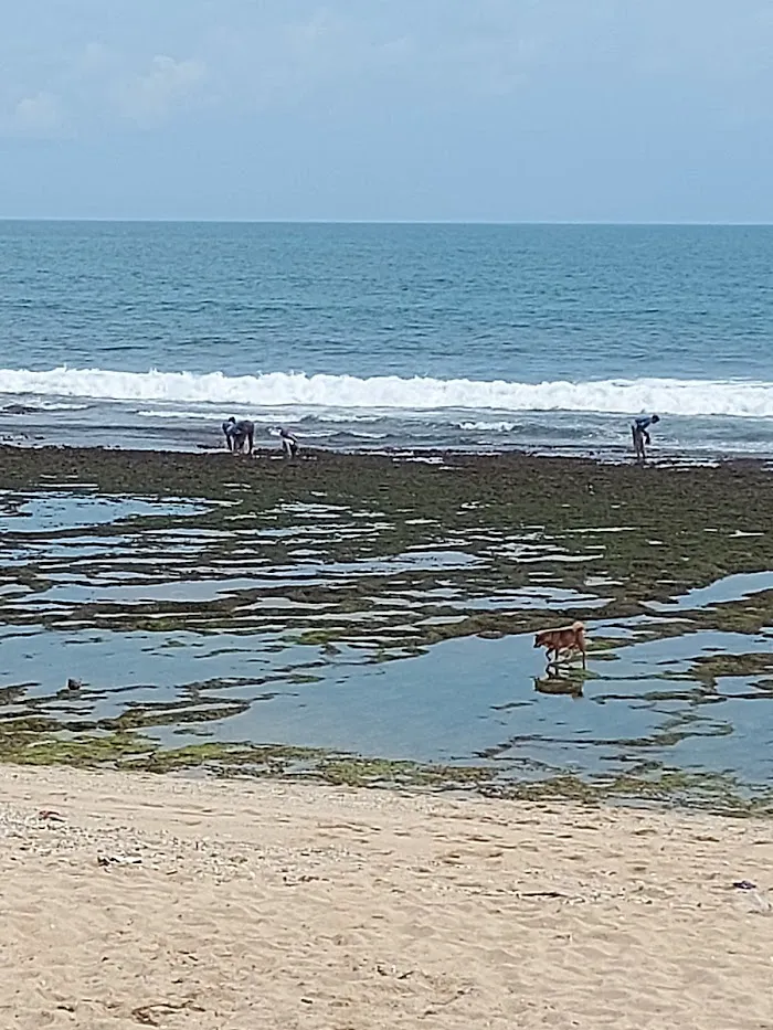 Pantai Sepanjang 5