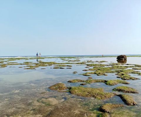 Pantai Kukup