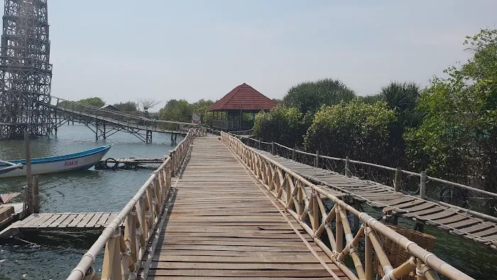 Mangrove Jembatan Api-Api (MJAA) 0