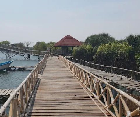 Mangrove Jembatan Api-Api (MJAA)