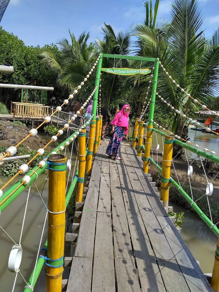 Taman Edukasi Mangrove (TEM), Desa Gedangan Purwodadi, Purworejo 9