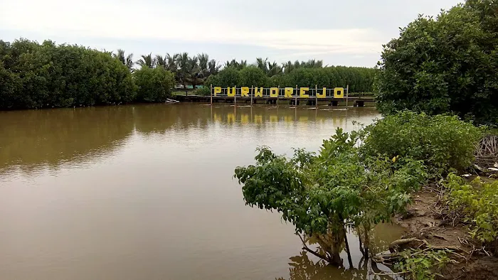 Taman Edukasi Mangrove (TEM), Desa Gedangan Purwodadi, Purworejo 4