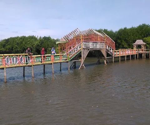 Taman Edukasi Mangrove (TEM), Desa Gedangan Purwodadi, Purworejo