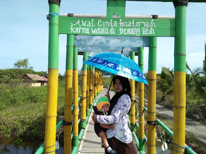 Taman Edukasi Mangrove (TEM), Desa Gedangan Purwodadi, Purworejo 7