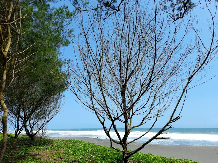 Pantai Pathuk, Jatimalang, Purwodadi, Purworejo 8