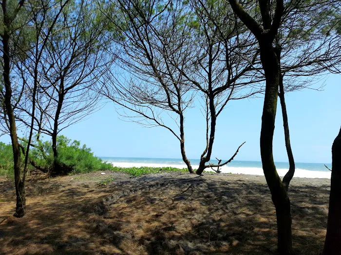 Pantai Pathuk, Jatimalang, Purwodadi, Purworejo 9