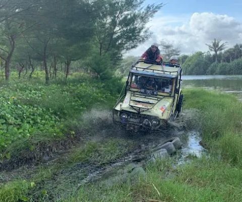 Jeep Wisata Glagah JEWIGA