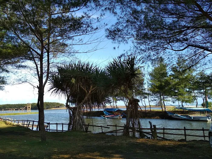 Glagah Beach Estuary 4