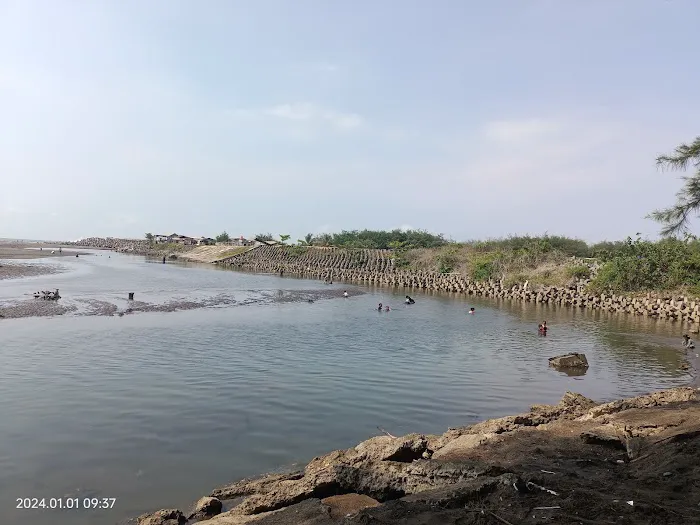 Glagah Beach Estuary 8