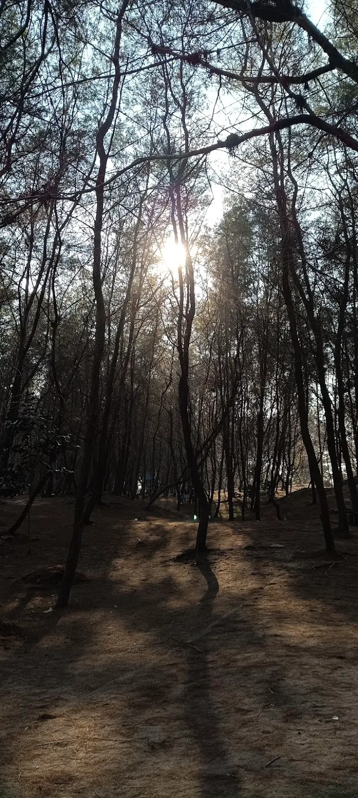 Pantai Cemara Sewu 9