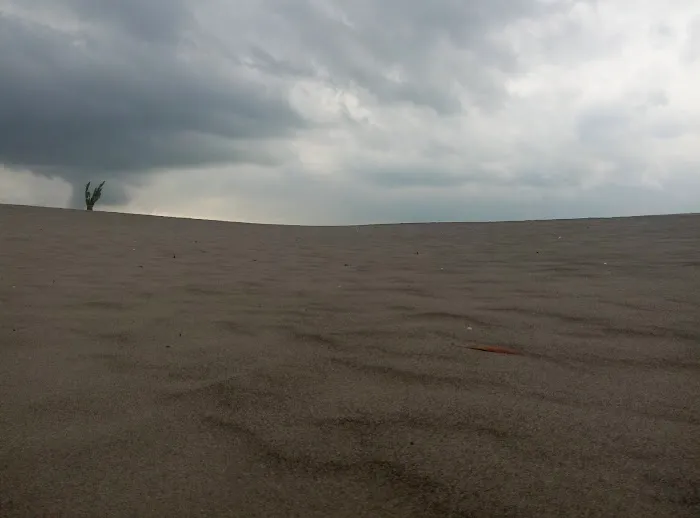 Barchan Dunes Yogyakarta Indonesia | SOSDL 6