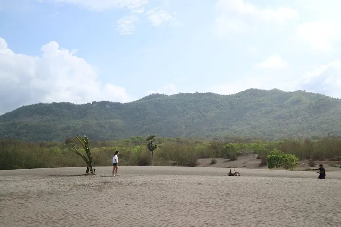 Barchan Dunes Yogyakarta Indonesia | SOSDL 1