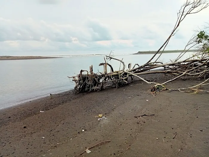 Mulut muara sungai opak 1