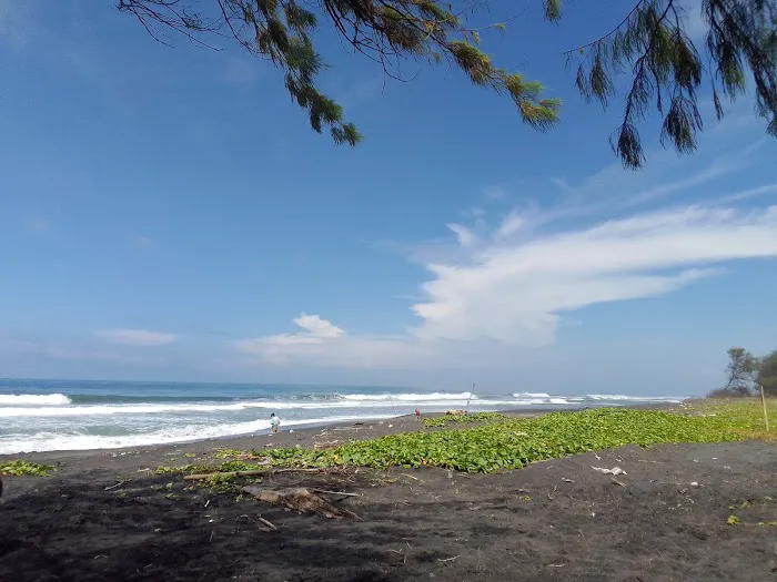 Pantai Bidara 0