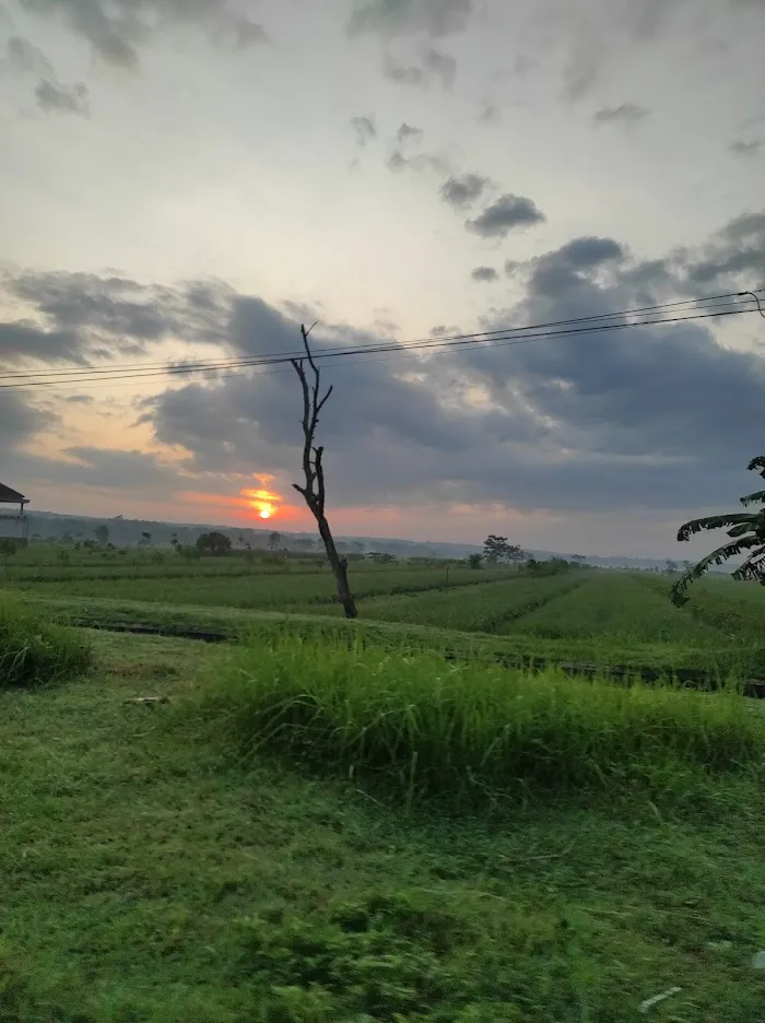 Pantai Bidara 6