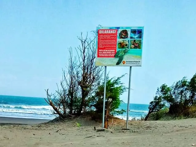 Pantai widuri 7