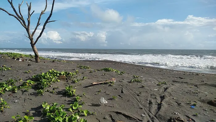 Pantai Pandansimo 1