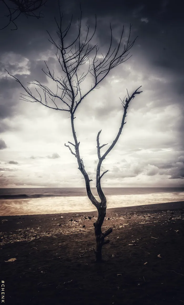 Pantai Pandansimo 7