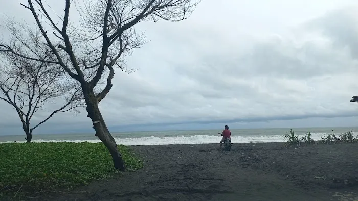 Pantai Pandansimo 9