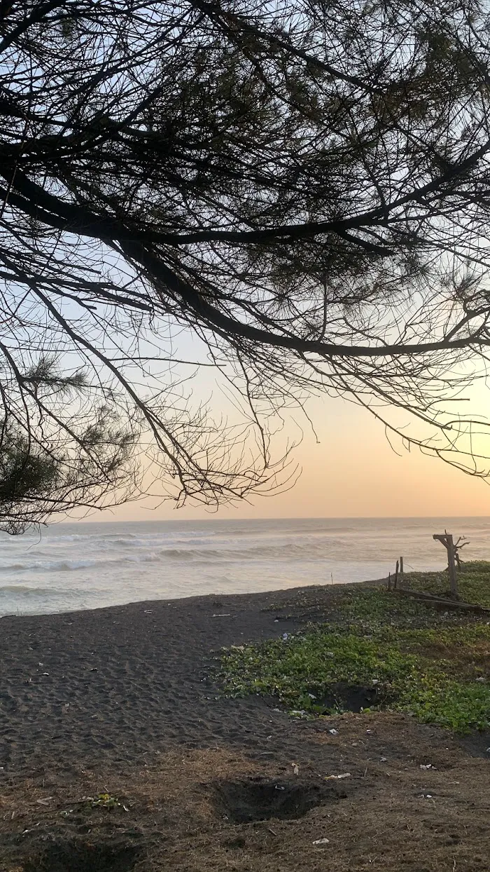 Pantai Dewaruci Bantul 3