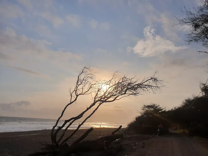 Pantai Dewaruci Bantul 8