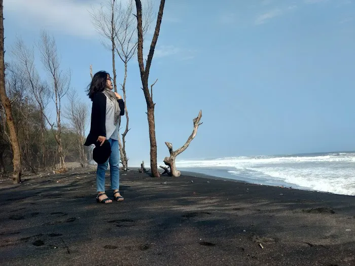 Pantai Segoro Kidul 2