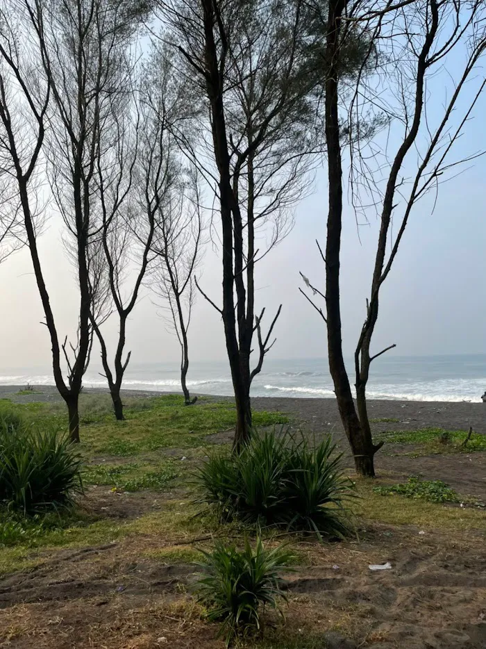 Pantai Segoro Kidul 0