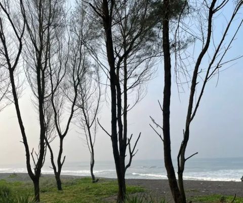 Pantai Segoro Kidul