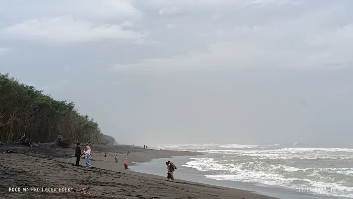 Goa Cemara Beach 0