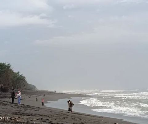 Goa Cemara Beach