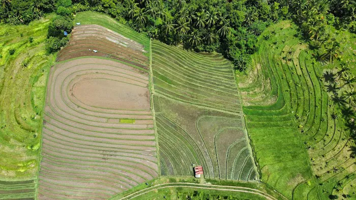 Lumbung view 8