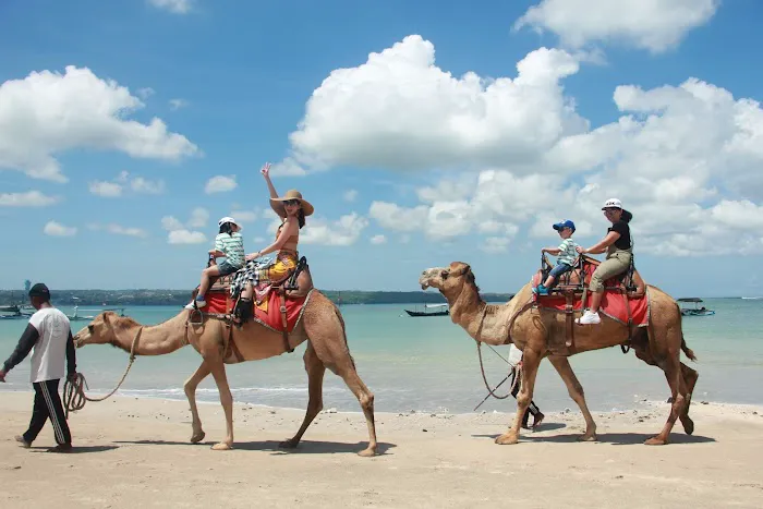 Bali Camel Adventure 1