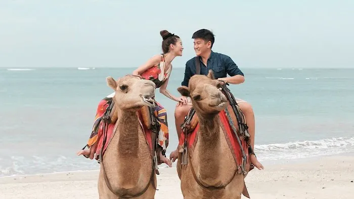 Bali Camel Adventure 0