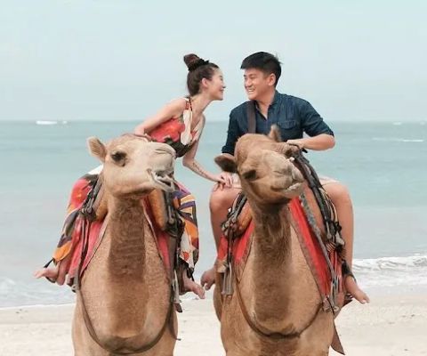 Bali Camel Adventure