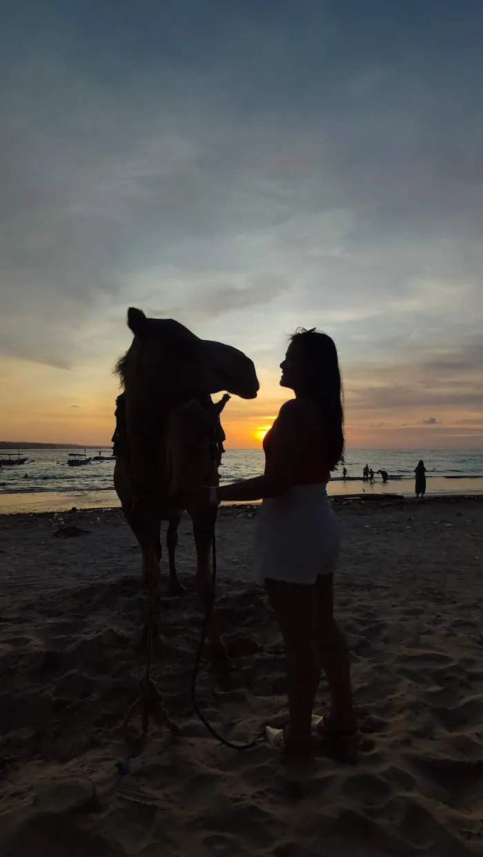 Bali Camel Adventure 2