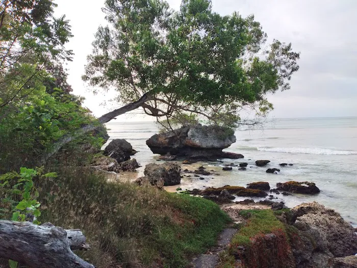 Pantai Mimpi Pondok Pemuda 0