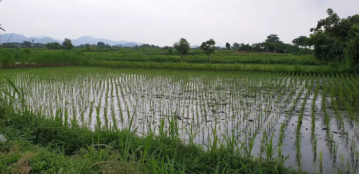 Pantai Pura Dalem 4