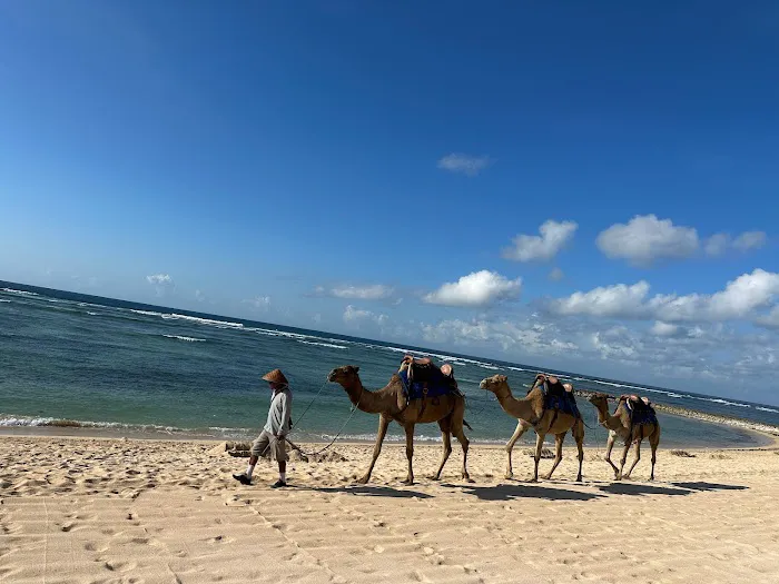 The Beach at Kempinski Hotel 3