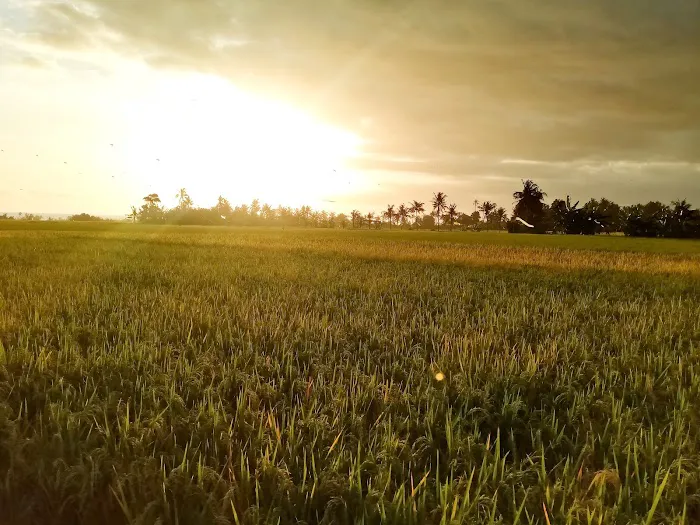 Pantai Batu Tampih 3