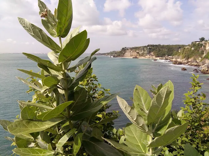 Tebing Pantai Balangan 7