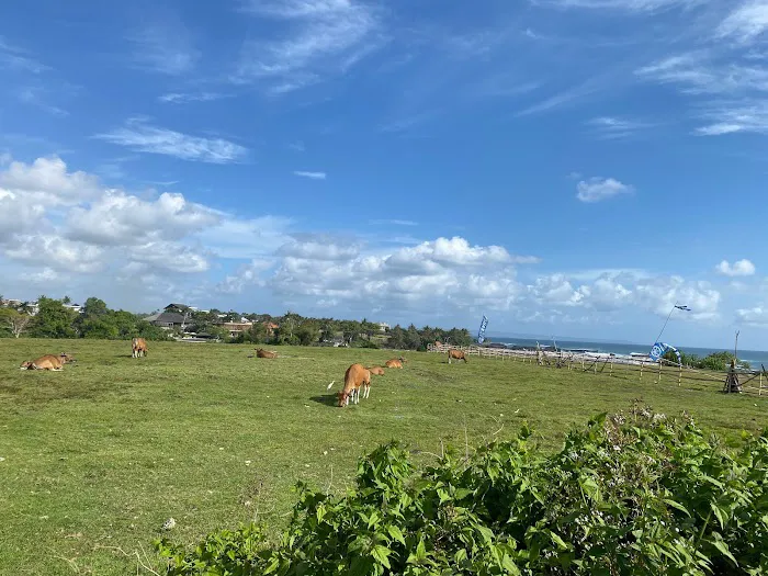 Pantai Nyanyi 0