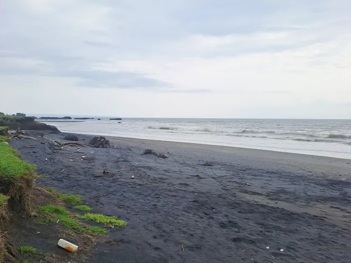 Pantai Nyanyi 1