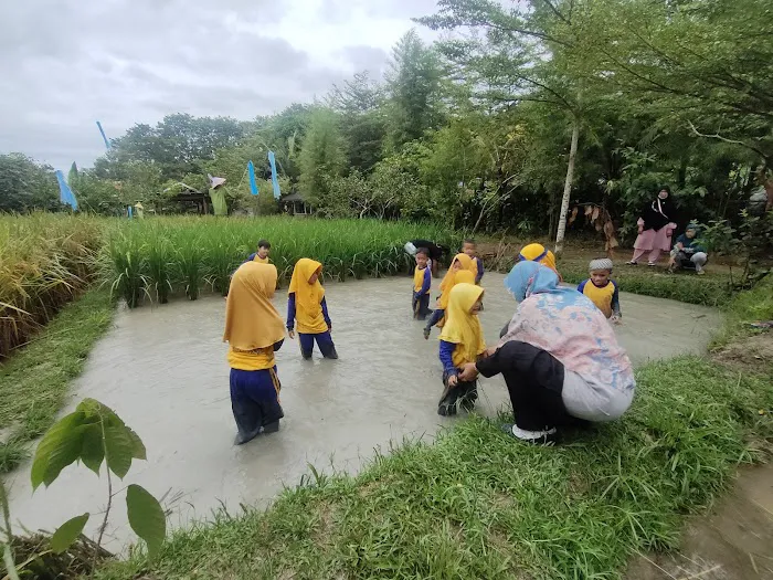 JMB Eco Park - Agrowisata Jambu Marina 2