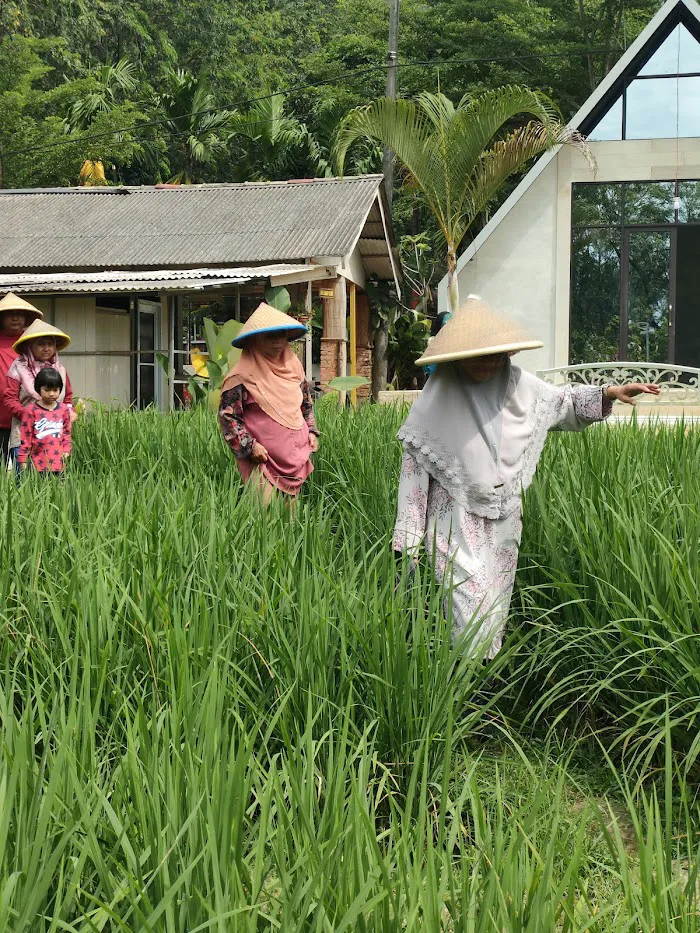 JMB Eco Park - Agrowisata Jambu Marina 8