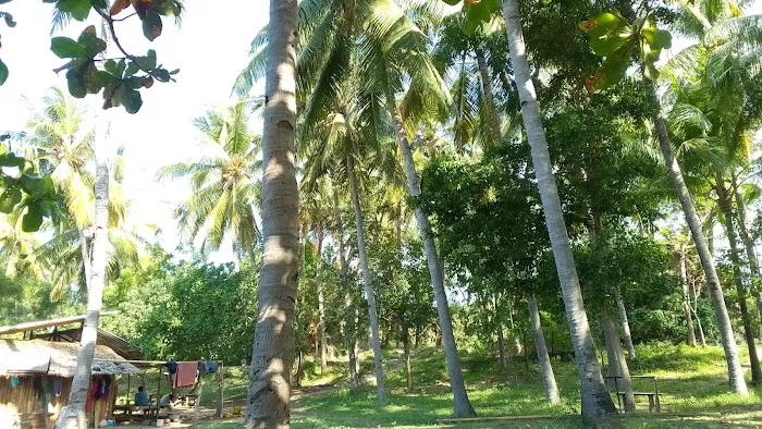 Berarengan beach 0