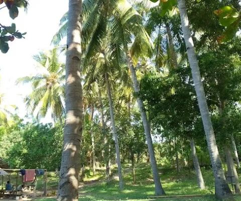 Berarengan beach
