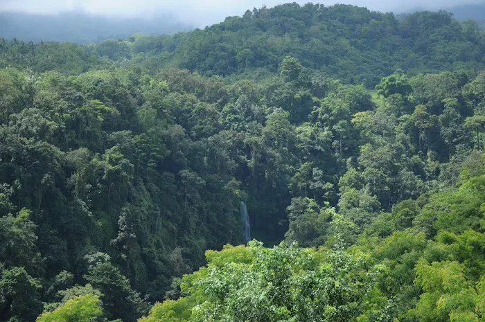 Air Terjun Jeruk Manis 1